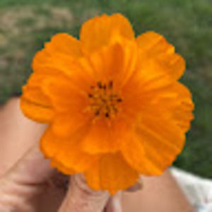 Meet your Posher, Kristi